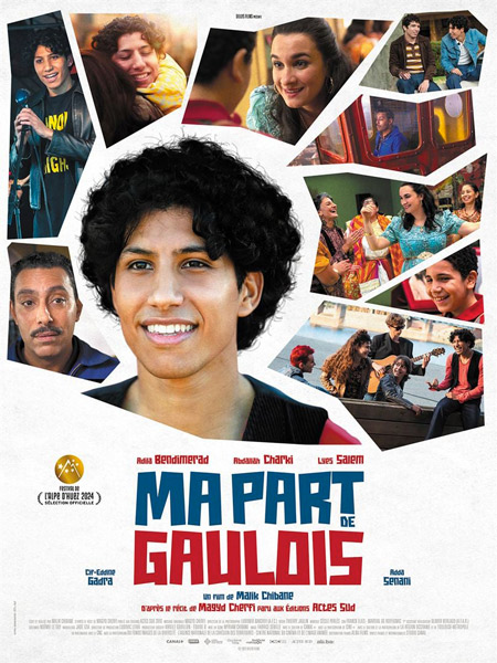 Affiche du film Ma Part de Gaulois, de Malik Chibane