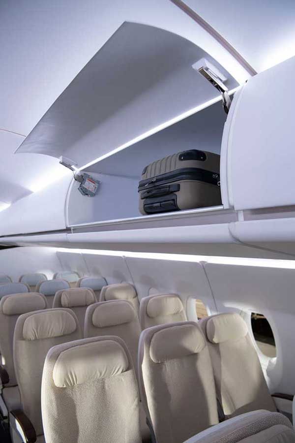 aircraft decor accessory luggage rack